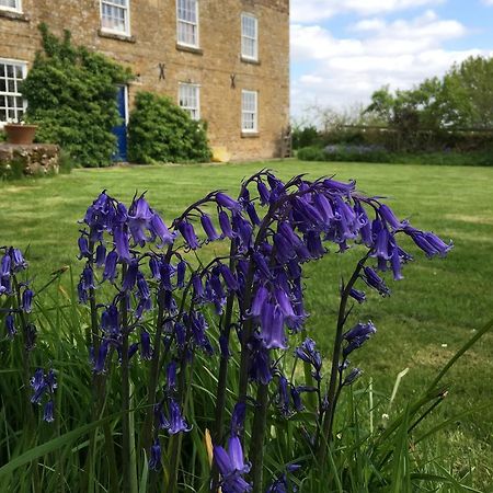 Cotswolds Mine Hill House Bed & Breakfast Lower Brailes ภายนอก รูปภาพ