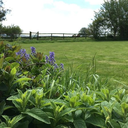 Cotswolds Mine Hill House Bed & Breakfast Lower Brailes ภายนอก รูปภาพ