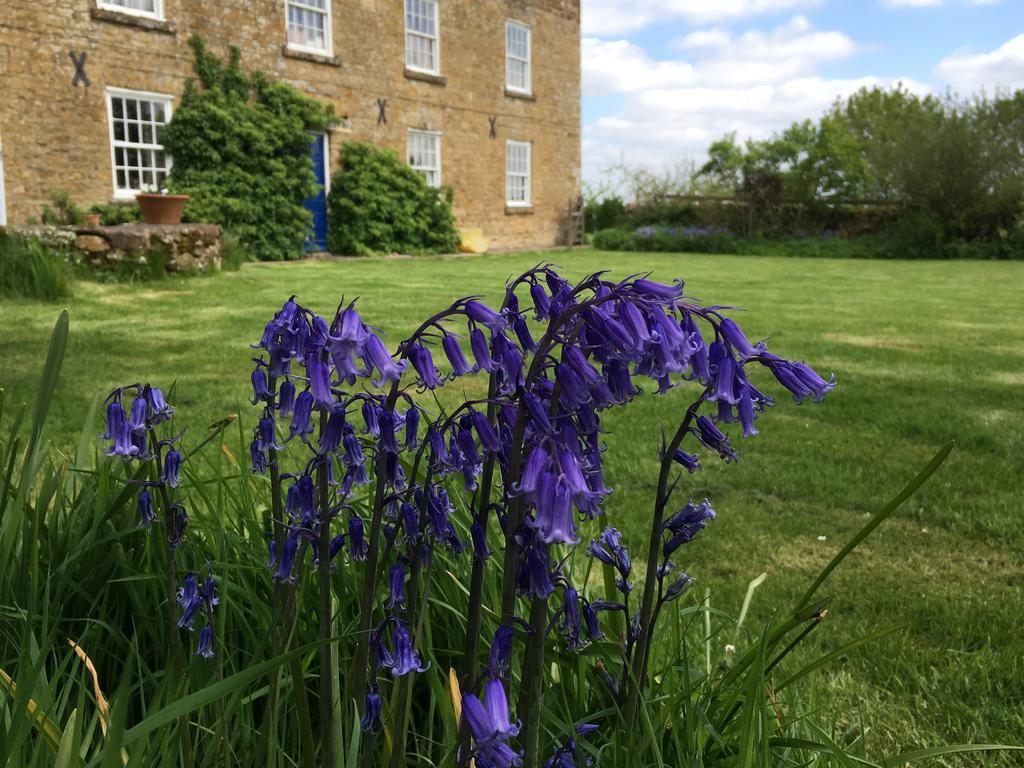 Cotswolds Mine Hill House Bed & Breakfast Lower Brailes ภายนอก รูปภาพ