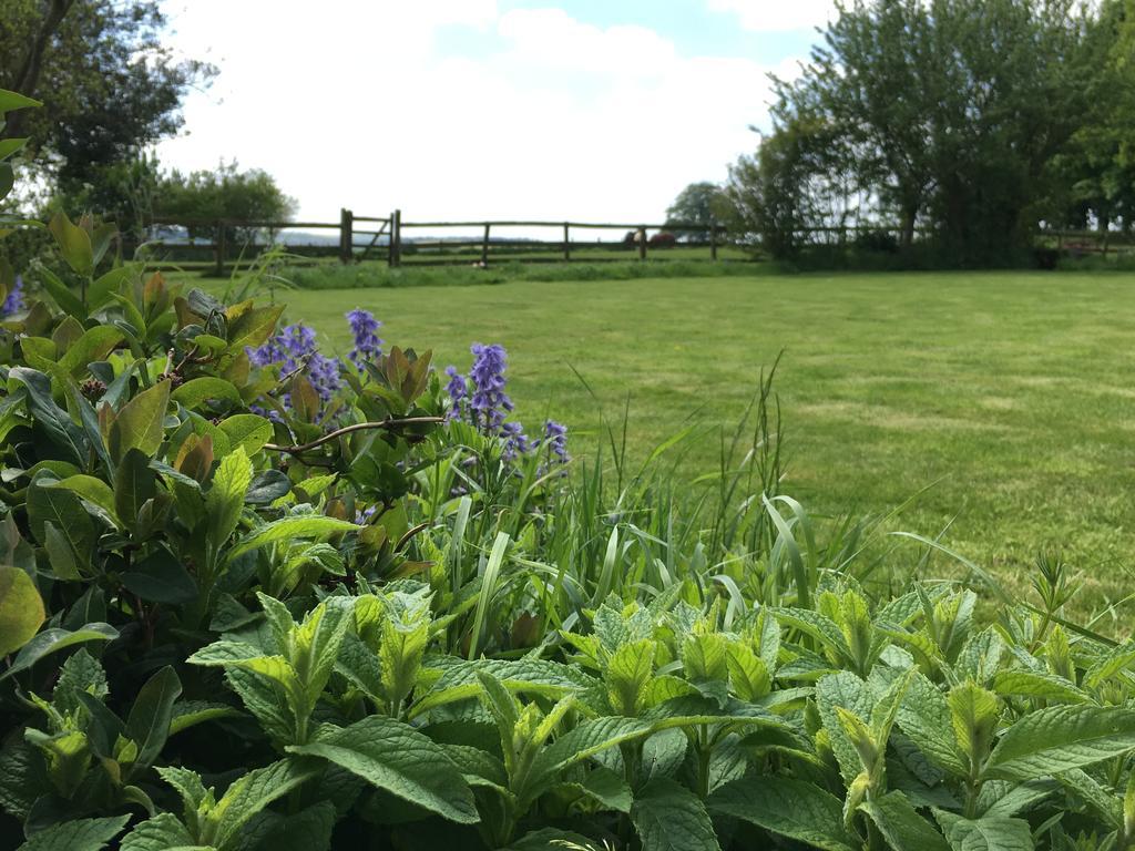 Cotswolds Mine Hill House Bed & Breakfast Lower Brailes ภายนอก รูปภาพ