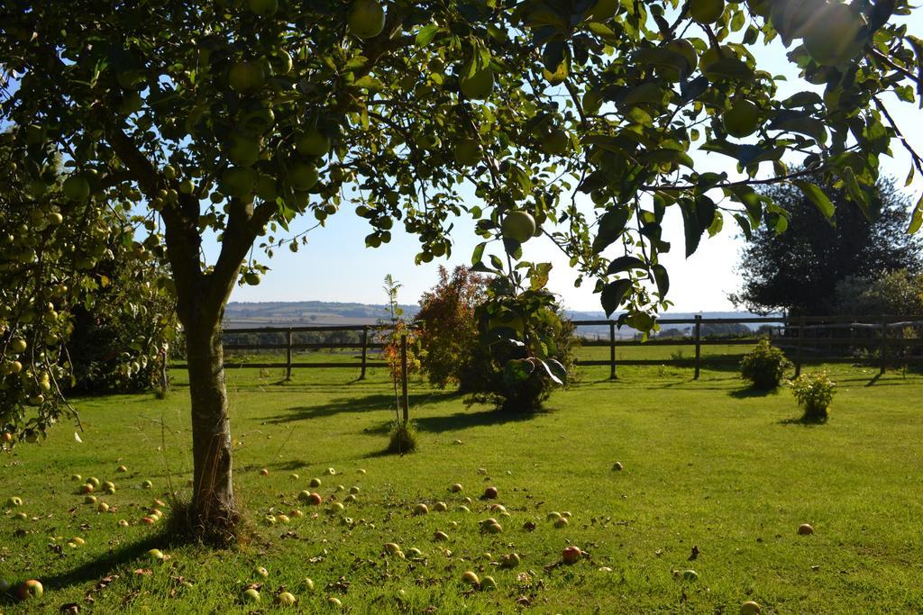 Cotswolds Mine Hill House Bed & Breakfast Lower Brailes ภายนอก รูปภาพ