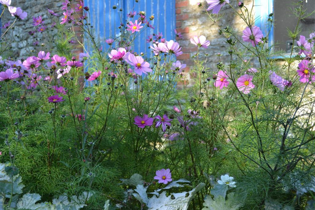 Cotswolds Mine Hill House Bed & Breakfast Lower Brailes ภายนอก รูปภาพ